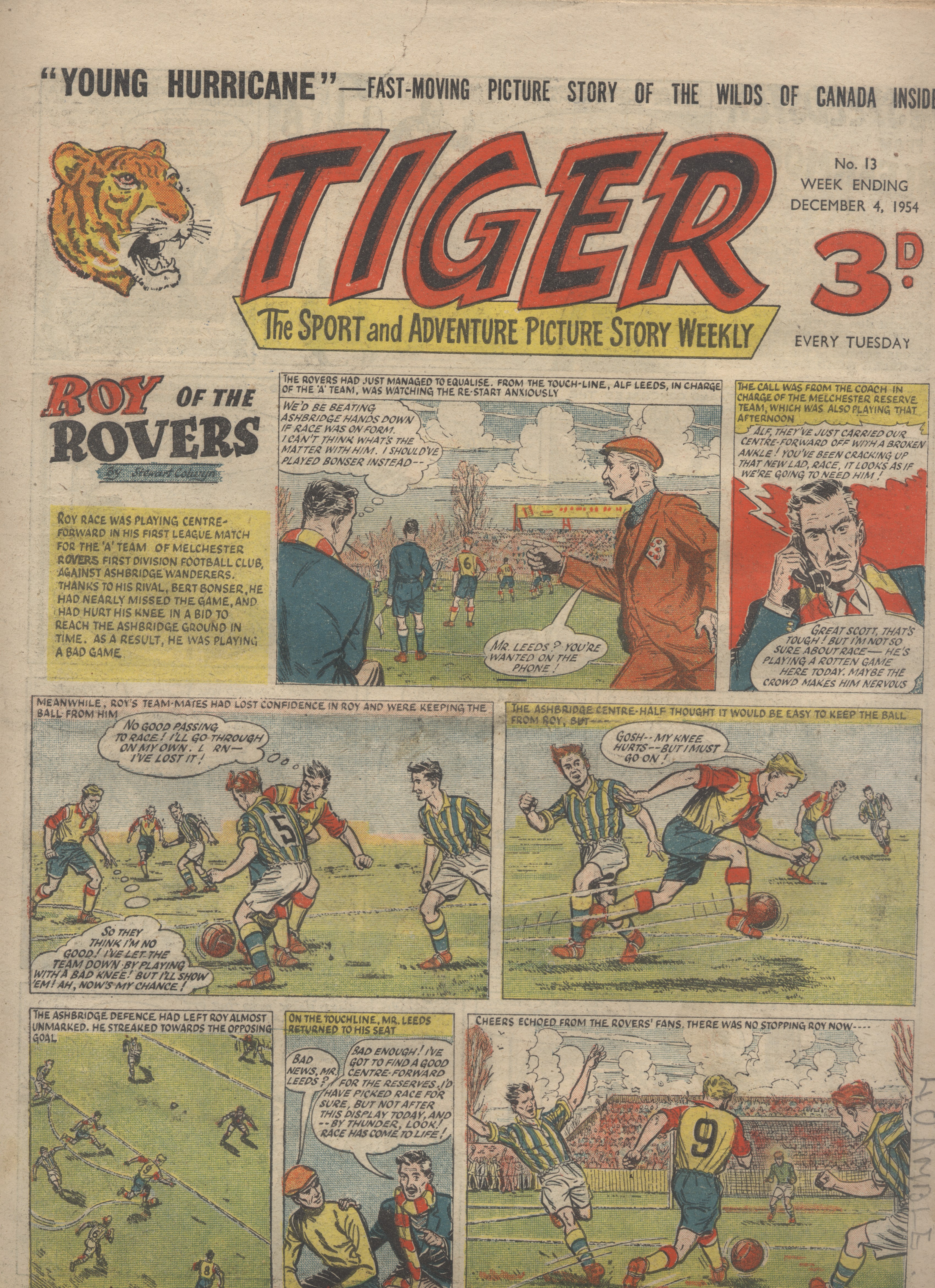Tiger